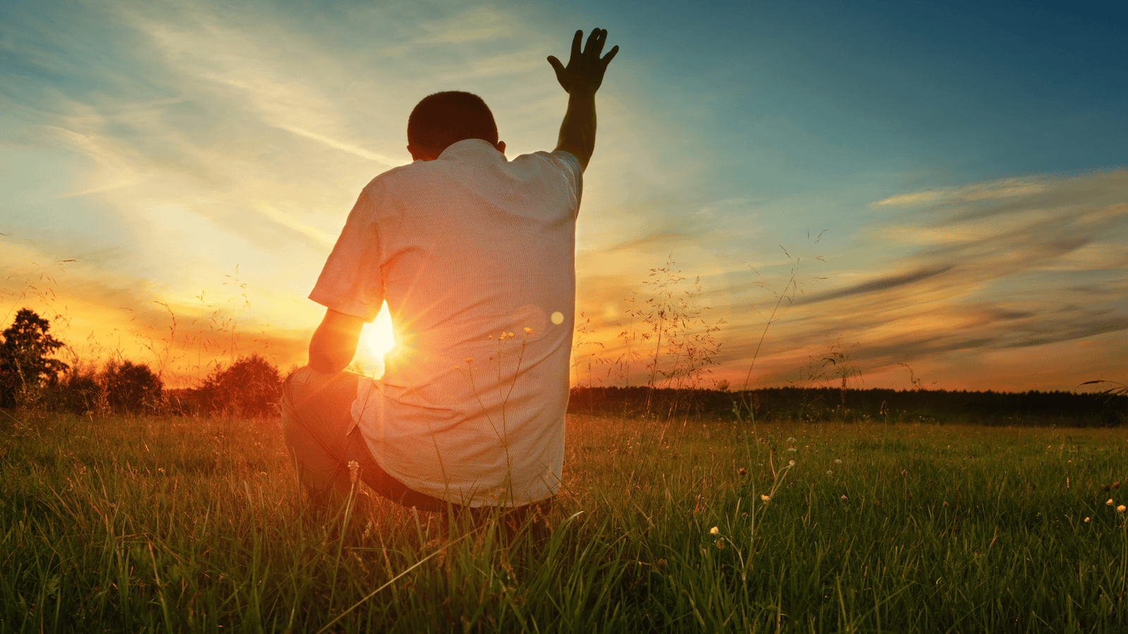 strength in adversity